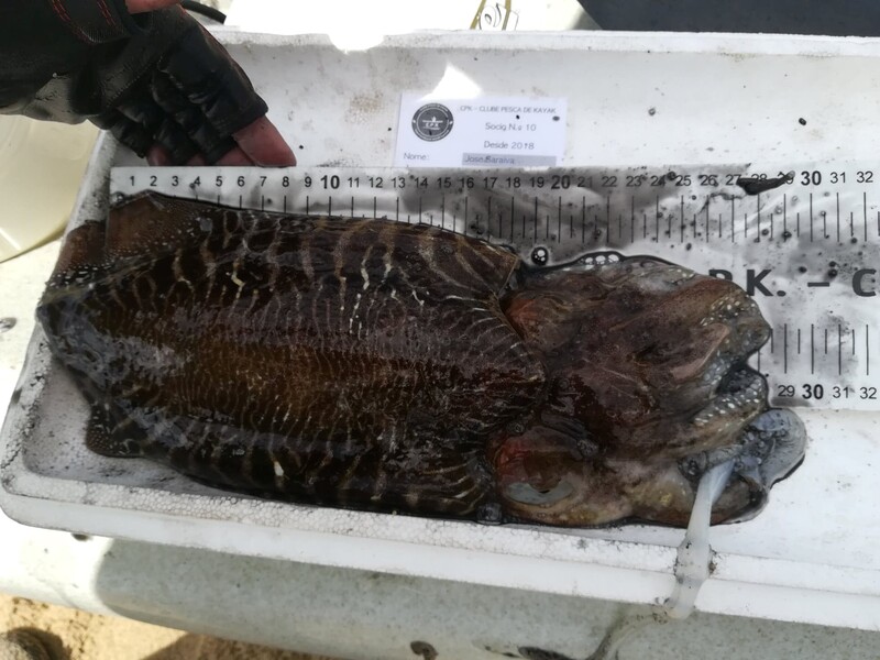 Fish Measure Picture