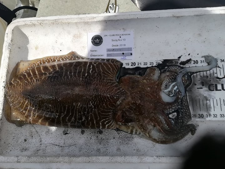 Fish Measure Picture