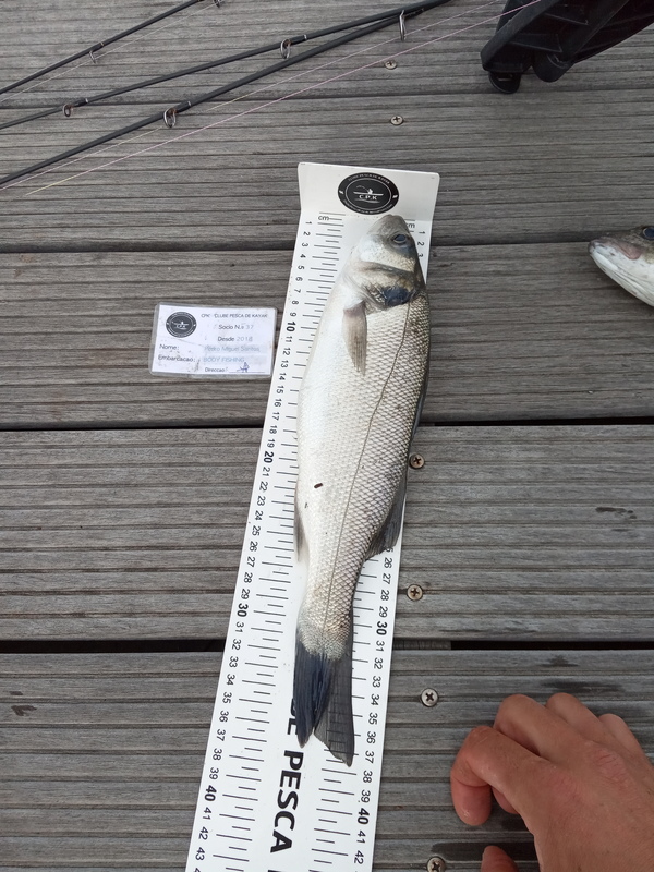 Fish Measure Picture