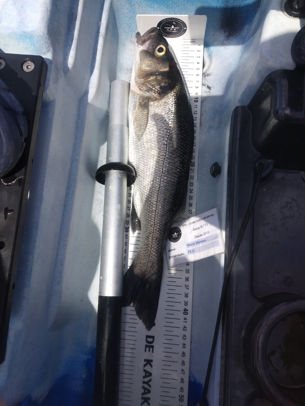 Fish Measure Picture