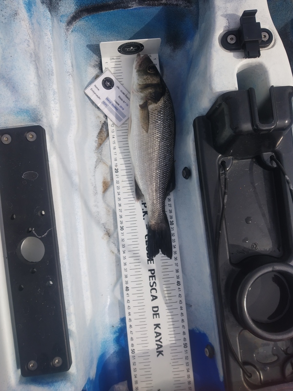 Fish Measure Picture
