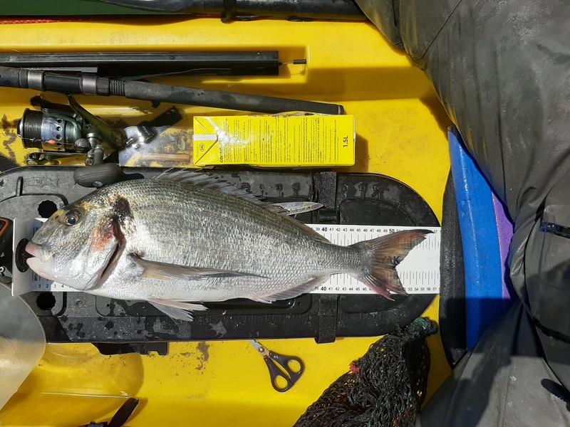 Fish Measure Picture