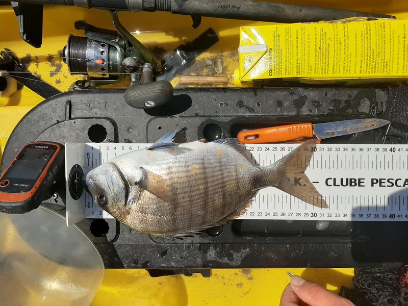Fish Measure Picture