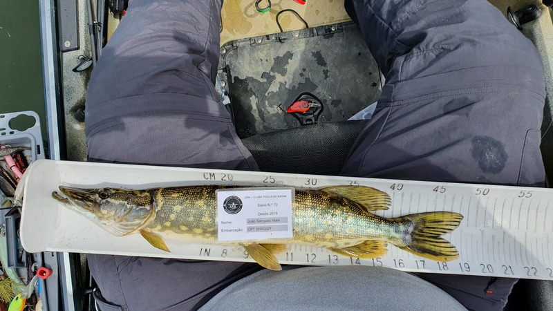 Fish Measure Picture