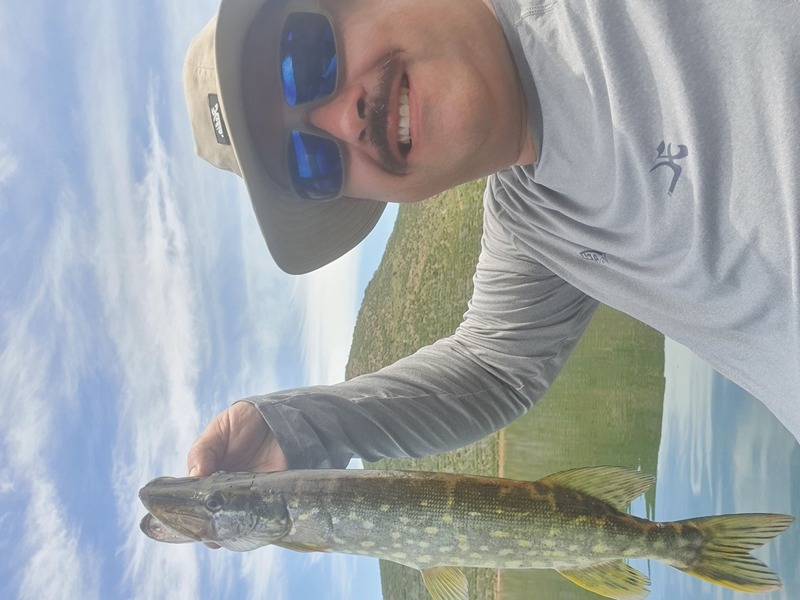 Fish Profile Picture
