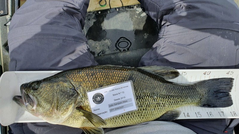 Fish Measure Picture