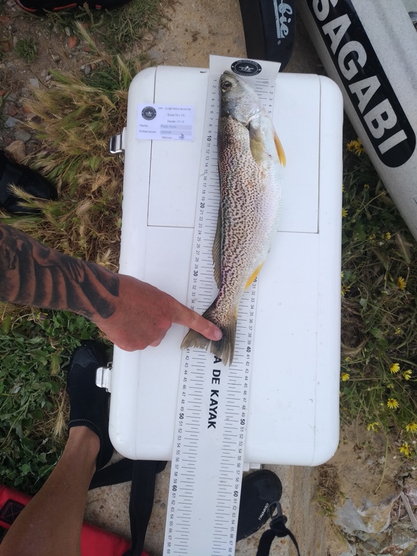 Fish Measure Picture