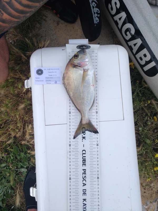 Fish Measure Picture