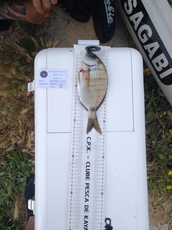 Fish Measure Picture