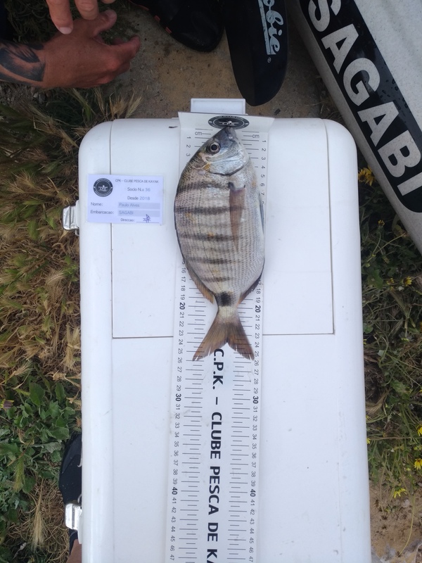 Fish Measure Picture
