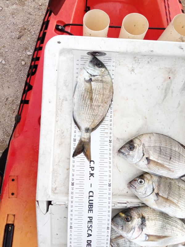 Fish Measure Picture
