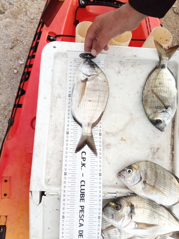 Fish Measure Picture