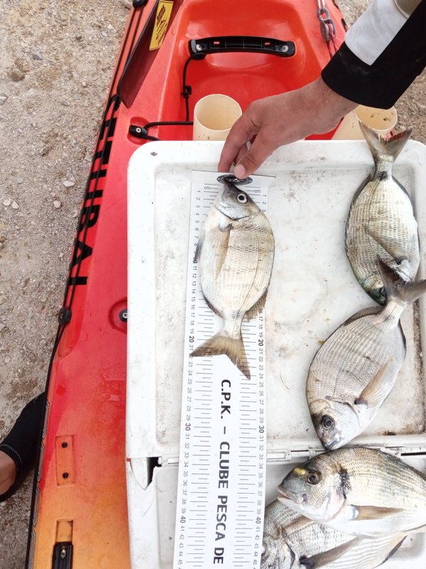 Fish Measure Picture