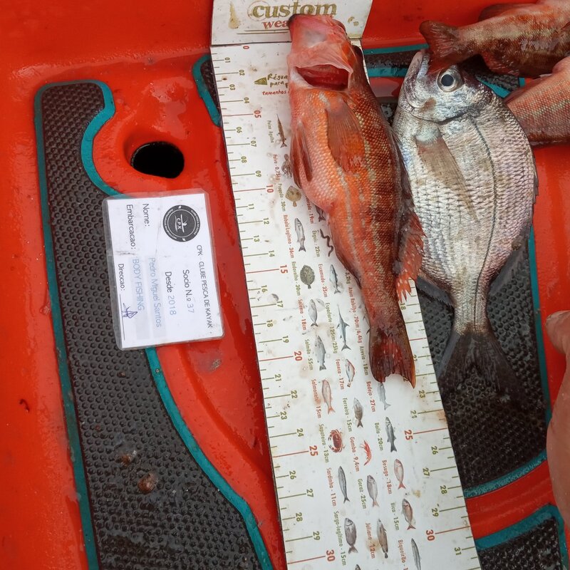Fish Measure Picture