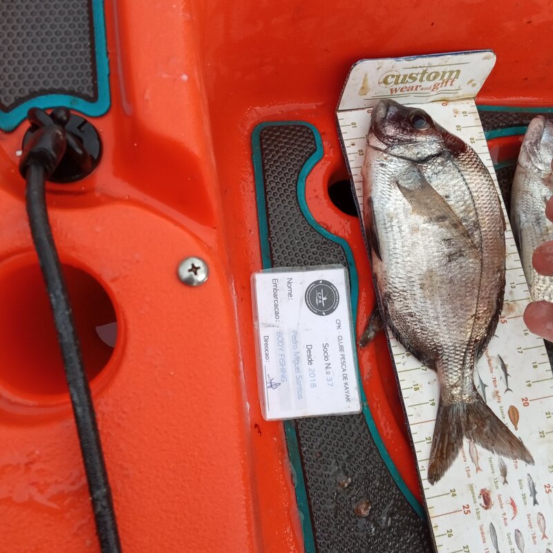 Fish Measure Picture