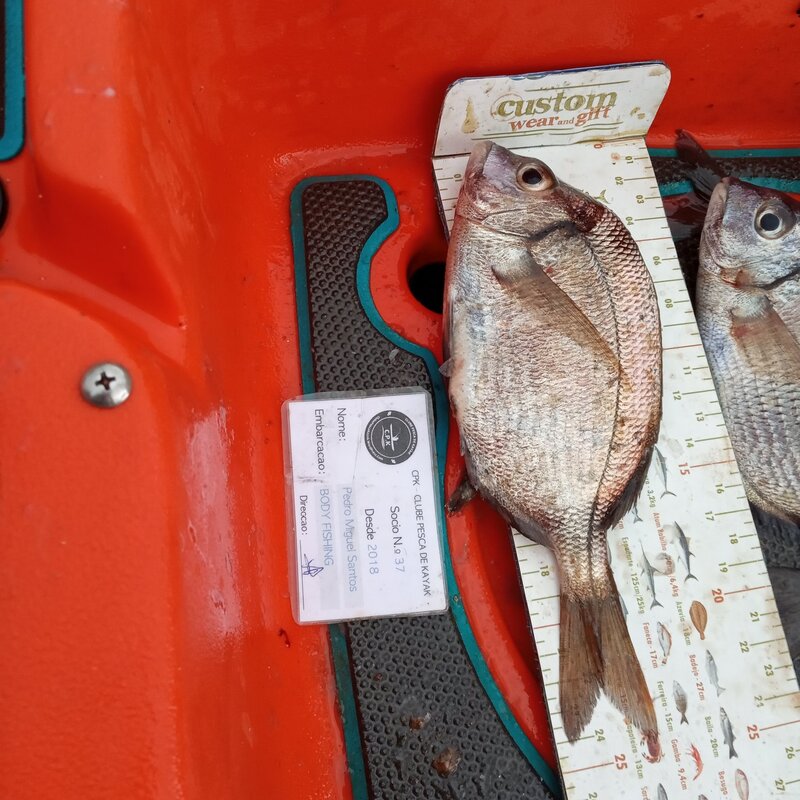 Fish Measure Picture