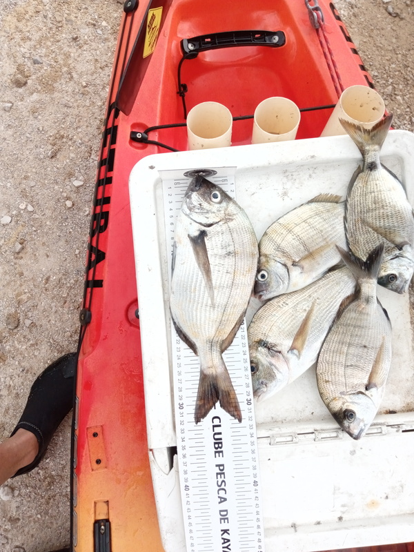 Fish Measure Picture