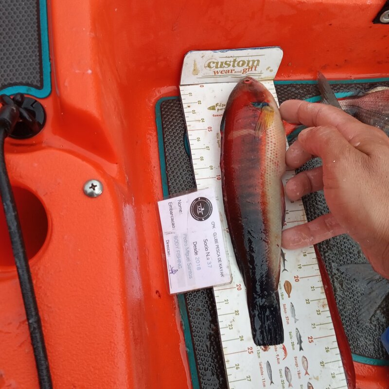 Fish Measure Picture