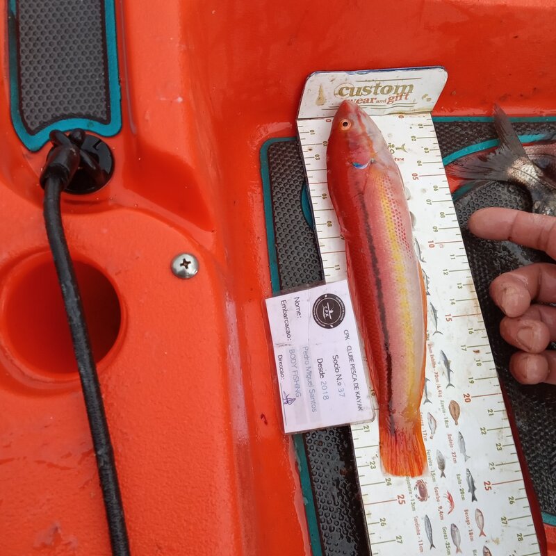 Fish Measure Picture