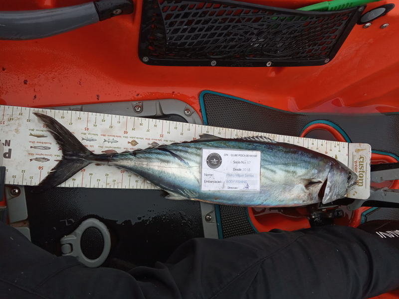 Fish Measure Picture
