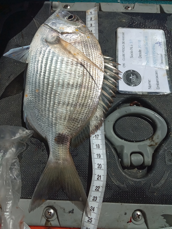 Fish Measure Picture