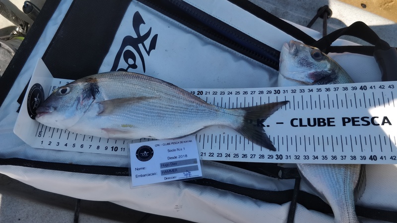 Fish Measure Picture