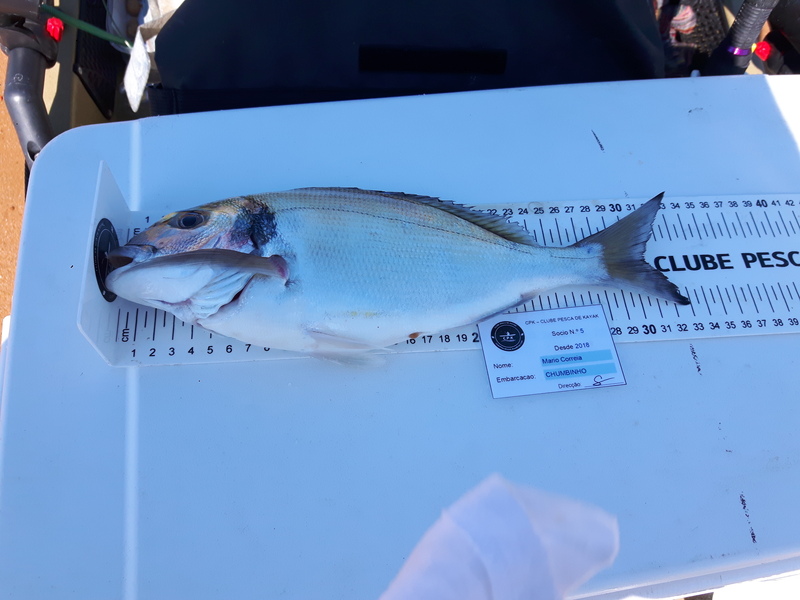 Fish Measure Picture