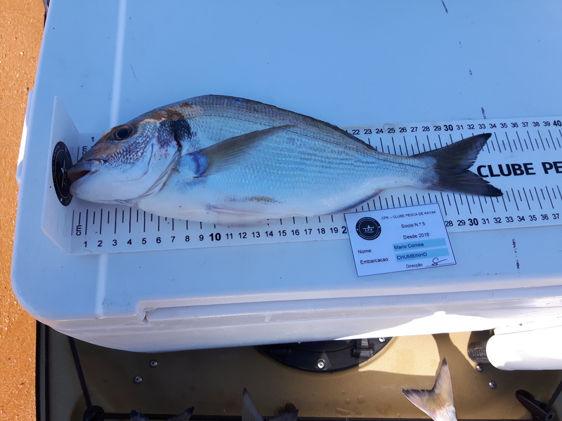 Fish Measure Picture