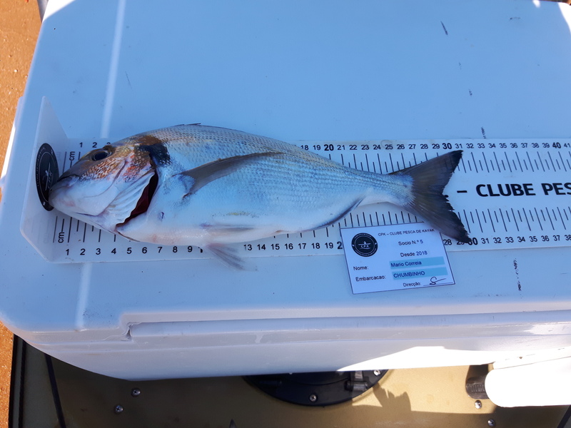 Fish Measure Picture