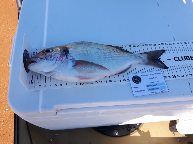 Fish Measure Picture