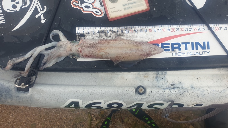 Fish Measure Picture
