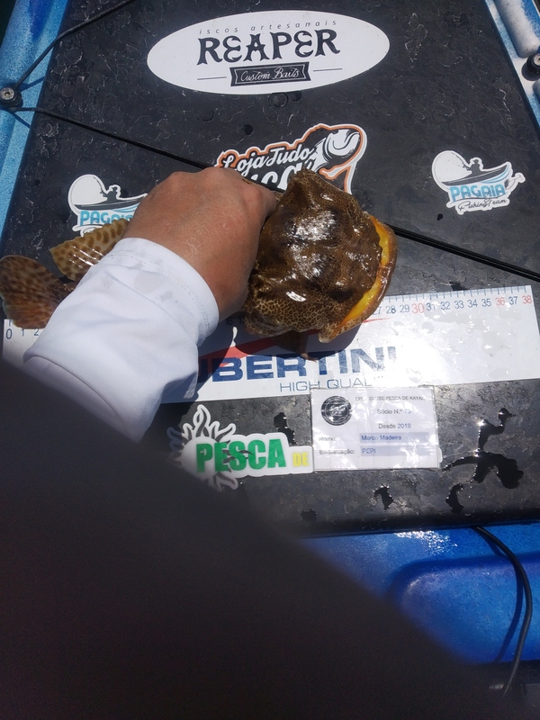 Fish Measure Picture