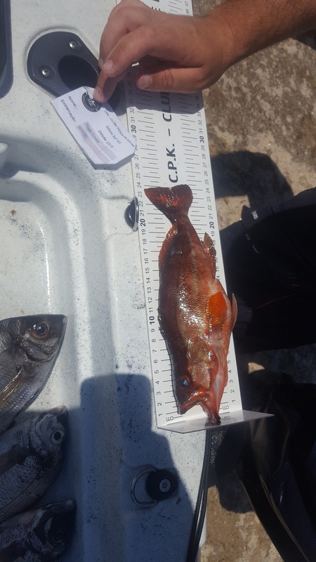 Fish Measure Picture