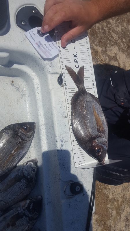 Fish Measure Picture
