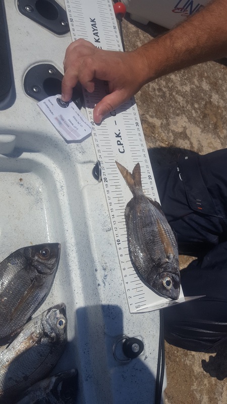 Fish Measure Picture