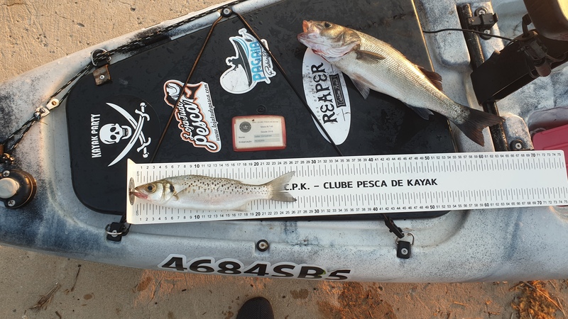 Fish Measure Picture