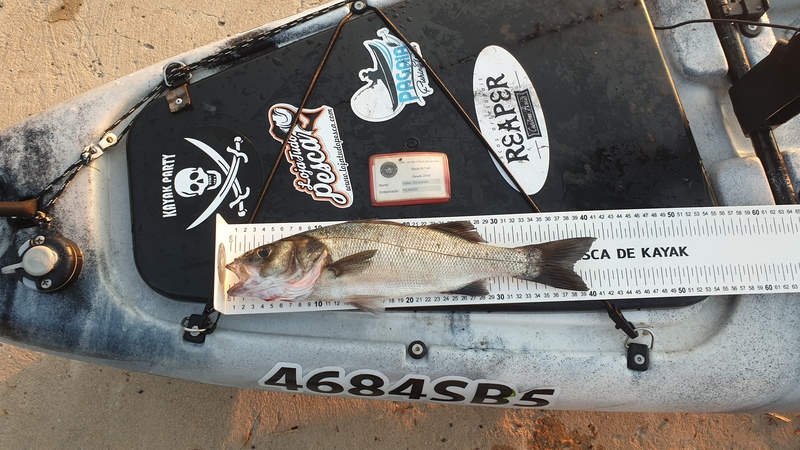 Fish Measure Picture