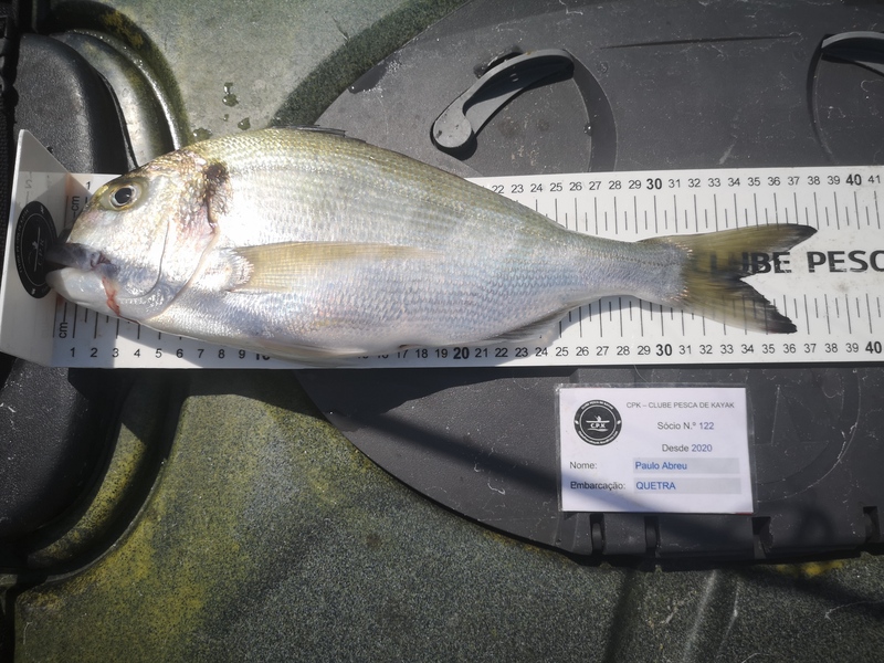 Fish Measure Picture