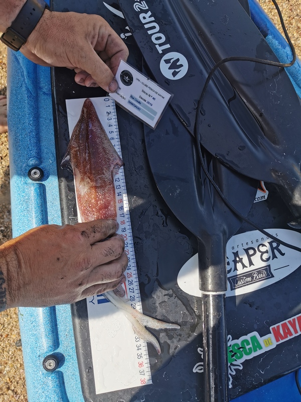 Fish Measure Picture