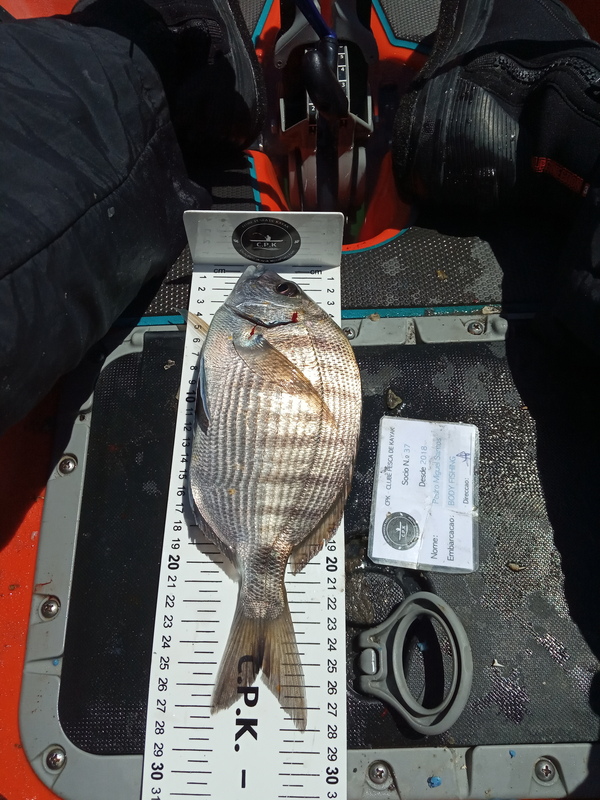 Fish Measure Picture