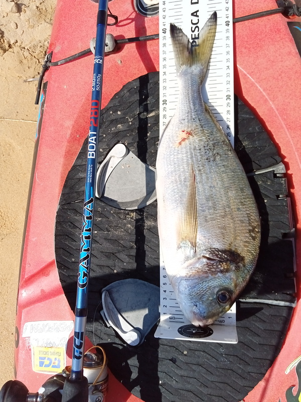 Fish Measure Picture