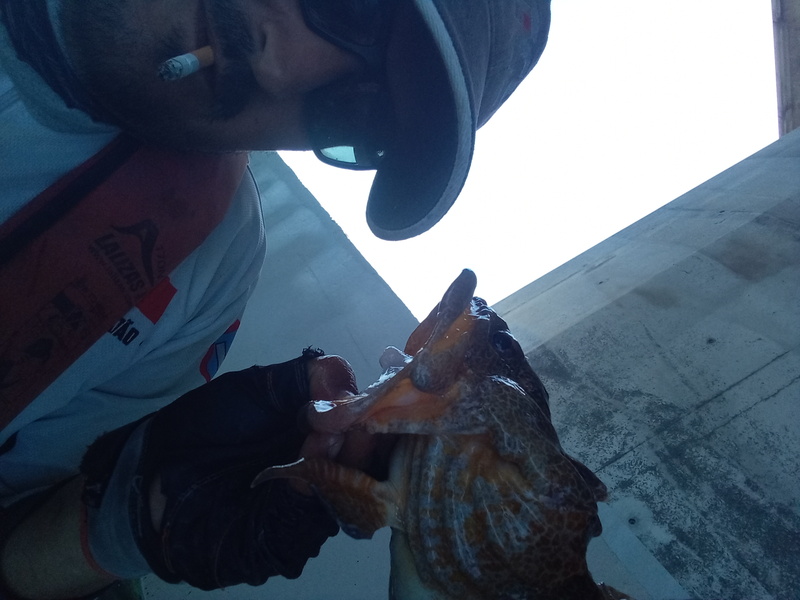 Fish Profile Picture