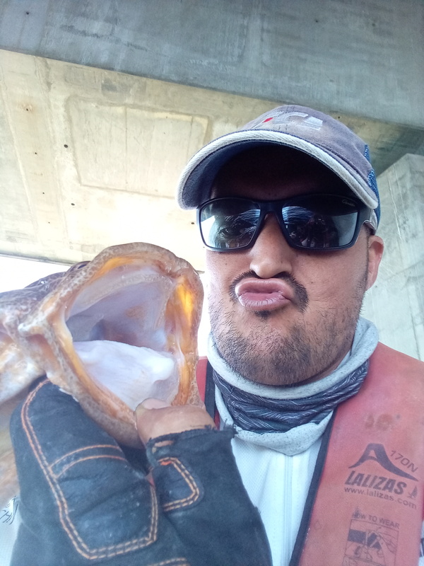 Fish Profile Picture