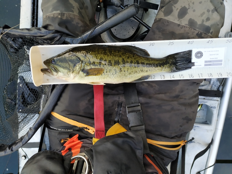 Fish Measure Picture