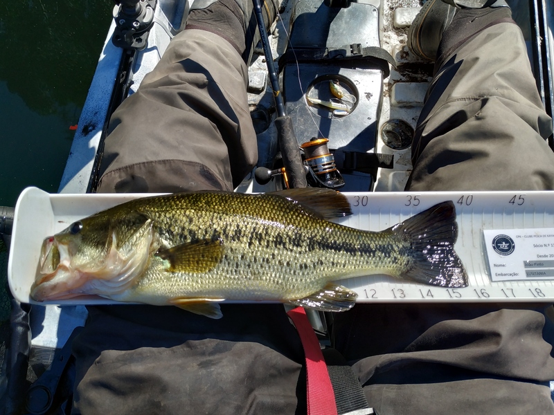 Fish Measure Picture