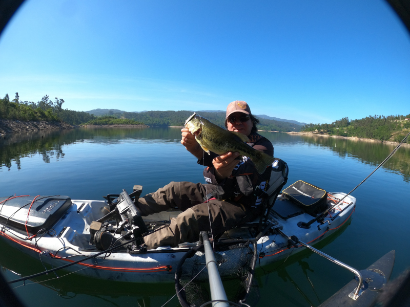 Fish Profile Picture