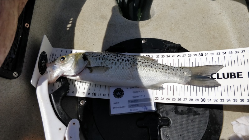 Fish Measure Picture