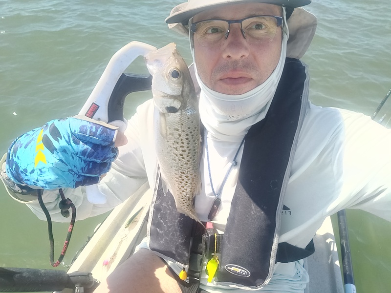 Fish Profile Picture