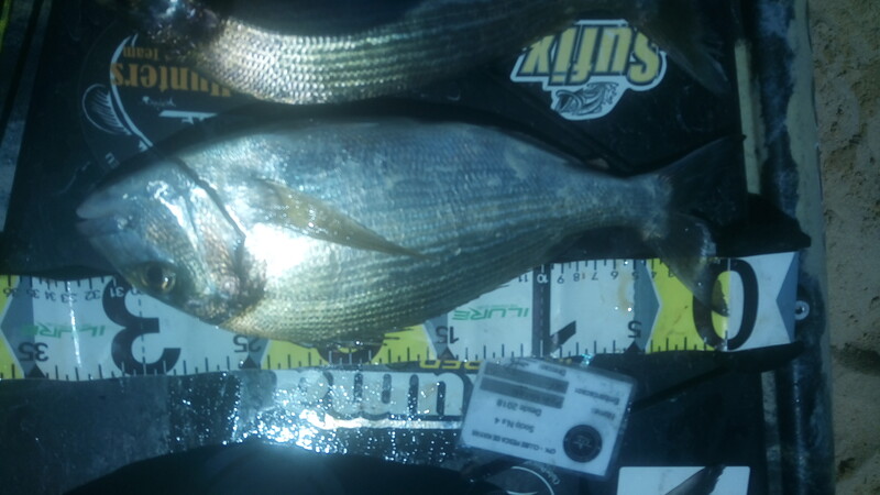 Fish Measure Picture