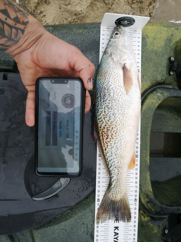 Fish Measure Picture